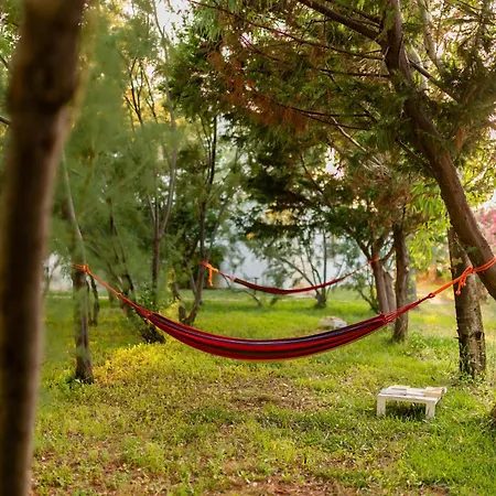 Курортный комплекс Torre Guaceto Greenblu 4*